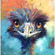 Emu 67